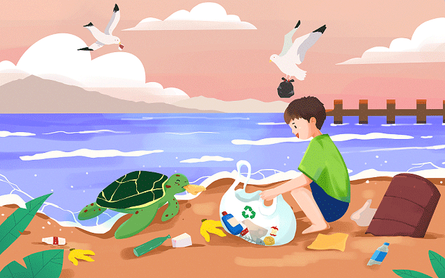 浙艺专升本率最高多少